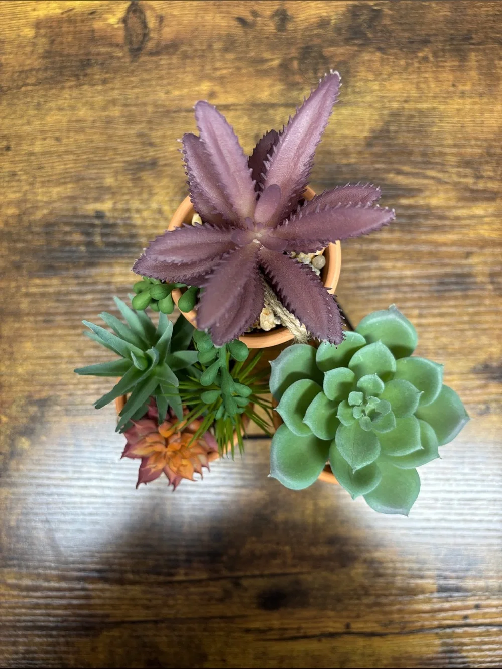 Set of 3 Mini Terracotta Succulent Pots with Metal Stand